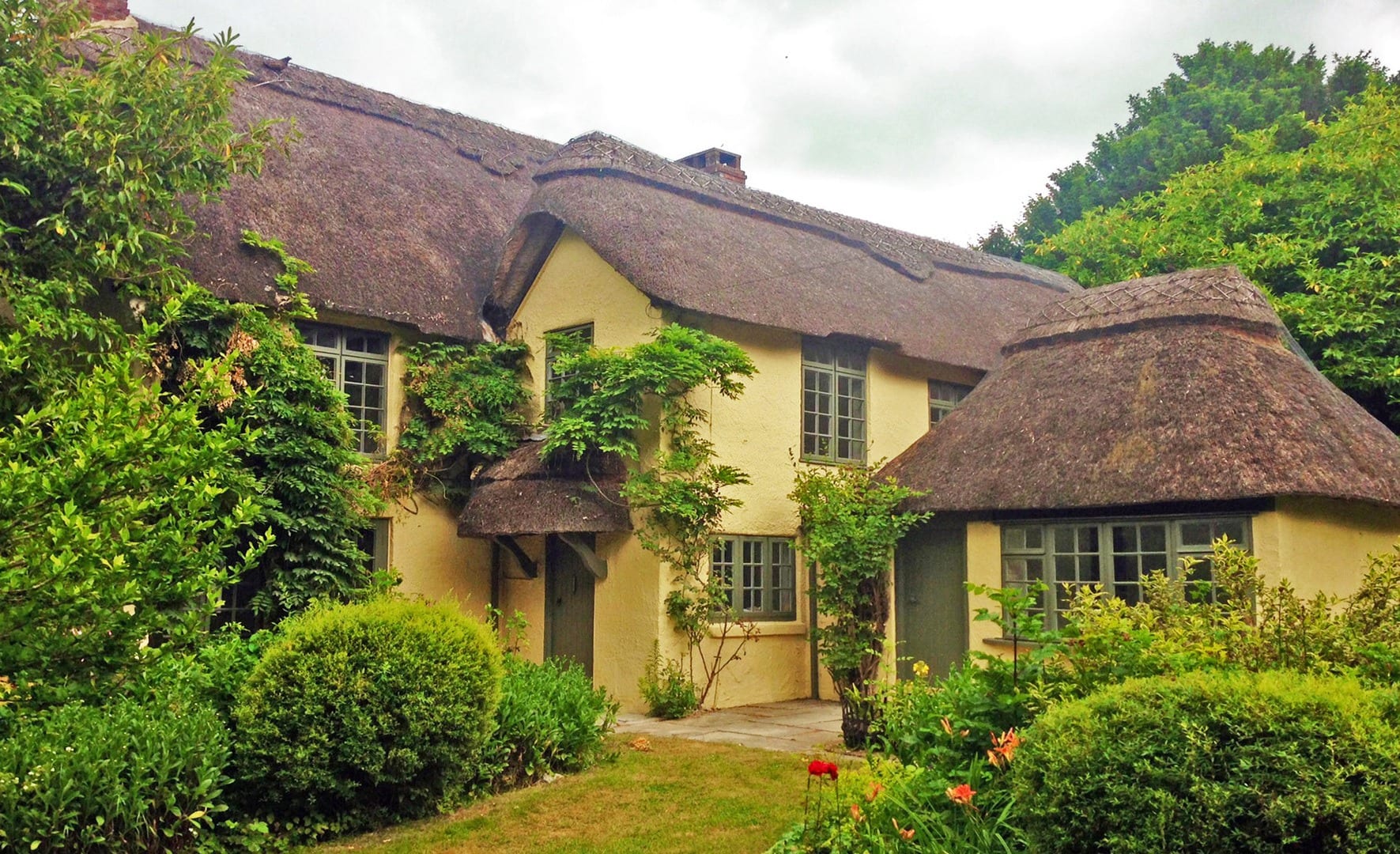 Pretty thatched cottage with roses and shrubs