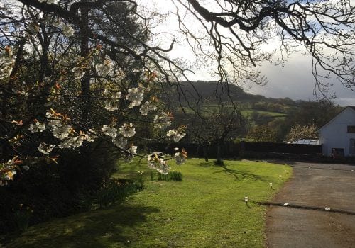 Countryside views across the fields with blossom on the trees
