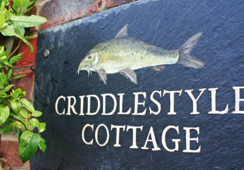 Beautifully painted house sign for Criddlestyle Cottage, showing a barbel