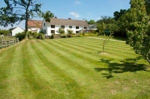 Holiday cottage lawned garden in Devon