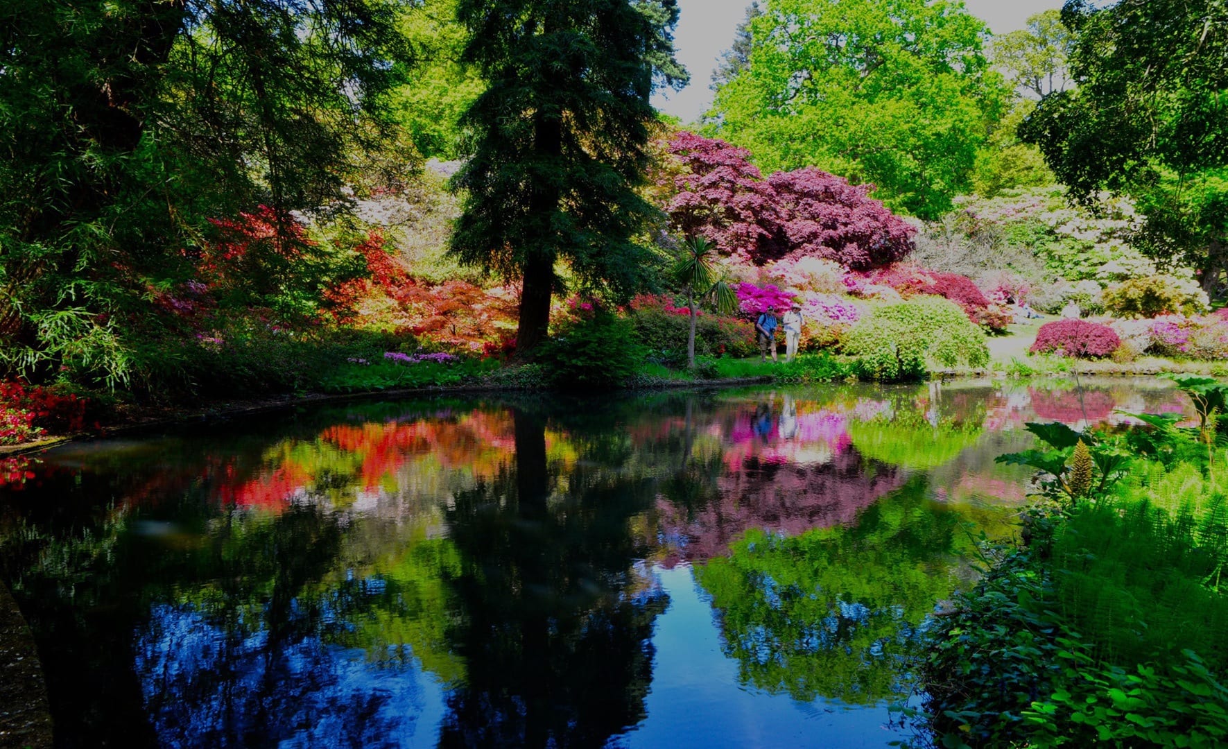 gardens to visit new forest