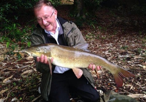 Fish caught by guest at Riverside Lodge in the New Forest