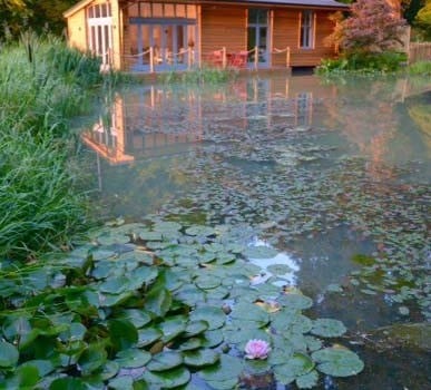 The lake at Riverside Lodge with abundant water lillies