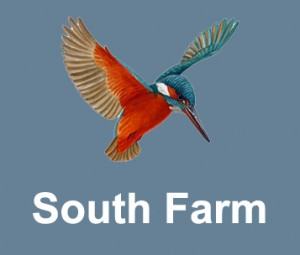 Blue logo featuring a colourful kingfisher