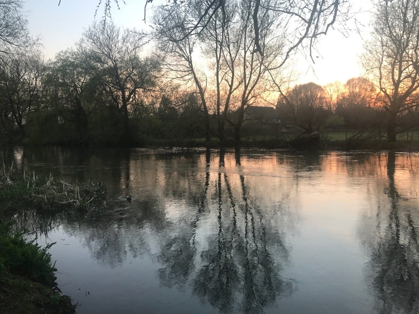 Lake at Fordingbridge at sunset with pink sky
