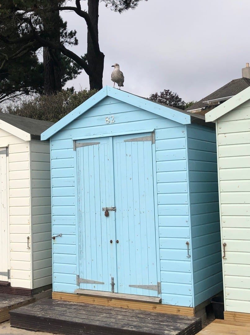 Beach Huts at Avon Beach Mudeford Short Stay Homes