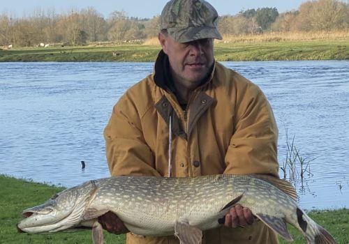 Wonderful Pike over 20lbs caught on the River Avon in the New Forest