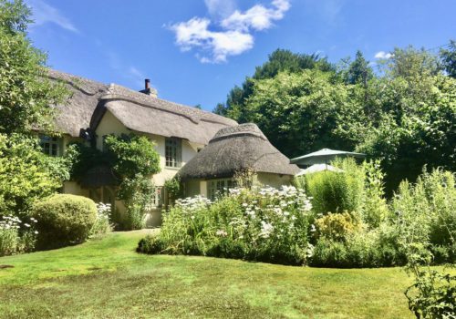 blue skies, thatched cottagge and daisies