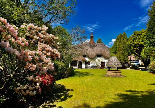 Galtons Cottage, self catering holiday let in Dorset