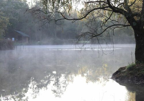 Fishing lake with mist rising near Salisbury