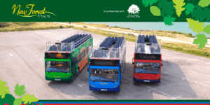 3 Open-top busses, red, green and blue, for the three routes of the New Forest Tour
