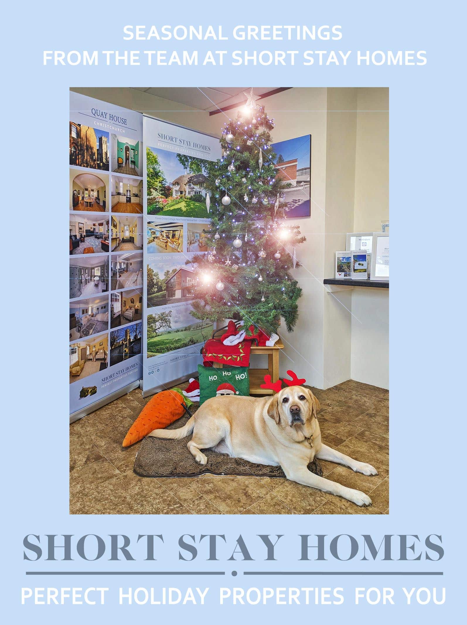 Season Greetings from the offices at Short Stay Homes including the office dog Buddy