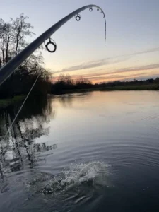 What-a-catch-action-shot-768x1024 A bowed fishing rod with a fish splashing in the water below
