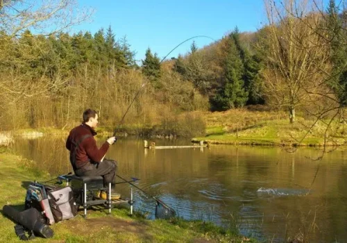 admin-ajax (1) Fishing with Short Stay Homes