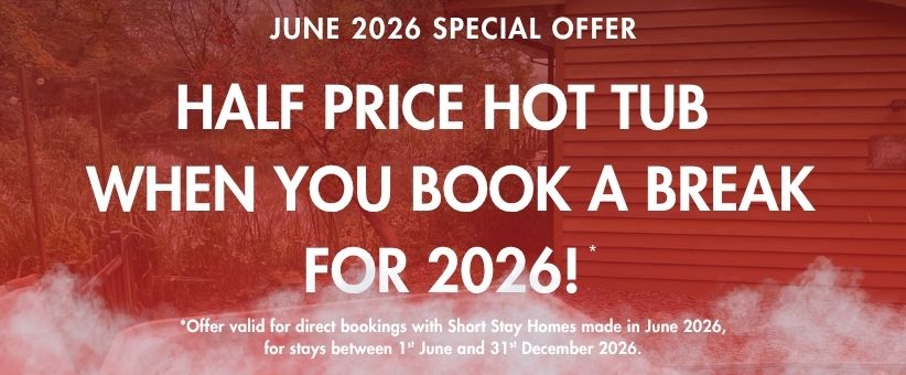 Half price hot tub June Offer New Forest